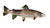 Trout Fish Metal Wall Hanging Trout Fish Metal Wall Hanging