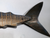 Great White Shark Metal Wall Decor