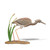 Tricolor Heron Table Top Decoy CW613