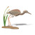 Tricolor Heron Table Top Decoy CW613