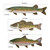 Lake Fish Trio - Bass/Trout/Pike Upcycled Wood and Metal Wall Art C519S