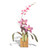 Cattleya Dendrobium Orchid on Teak Base MM920