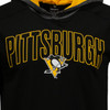 Pittsburgh Penguins Polyester/Spandex Lightweight Hoodie