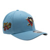 Pittsburgh Penguins America 250 Color Pack Hat