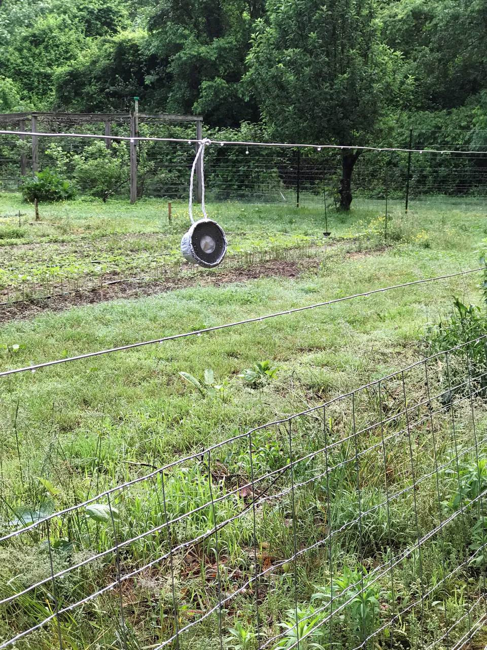 Electric Fence Deer Bait 24Pk