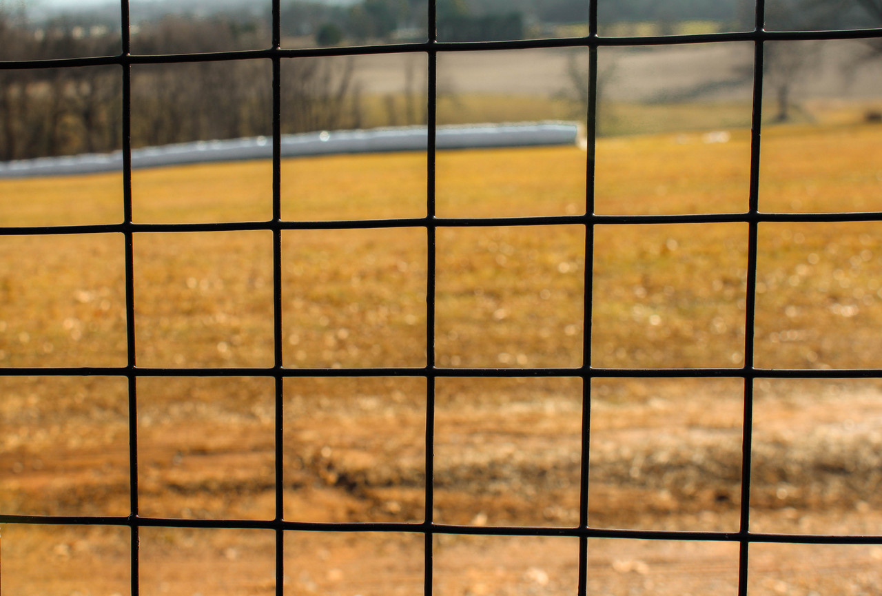 black galvanized wire fencing