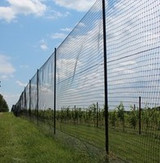 How to Install Your Deer Fence