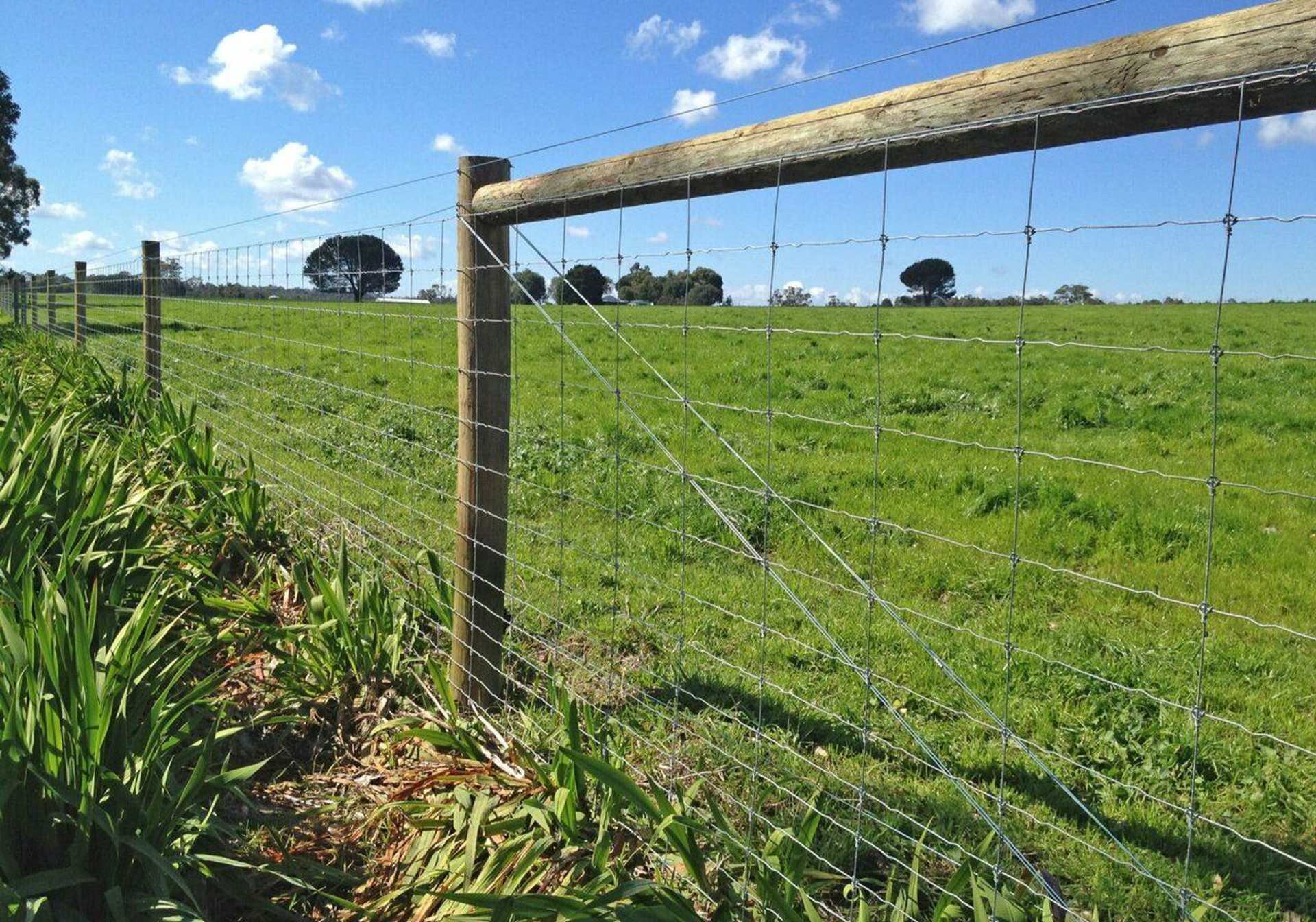 12.5 gauge Fixed Knot Fence