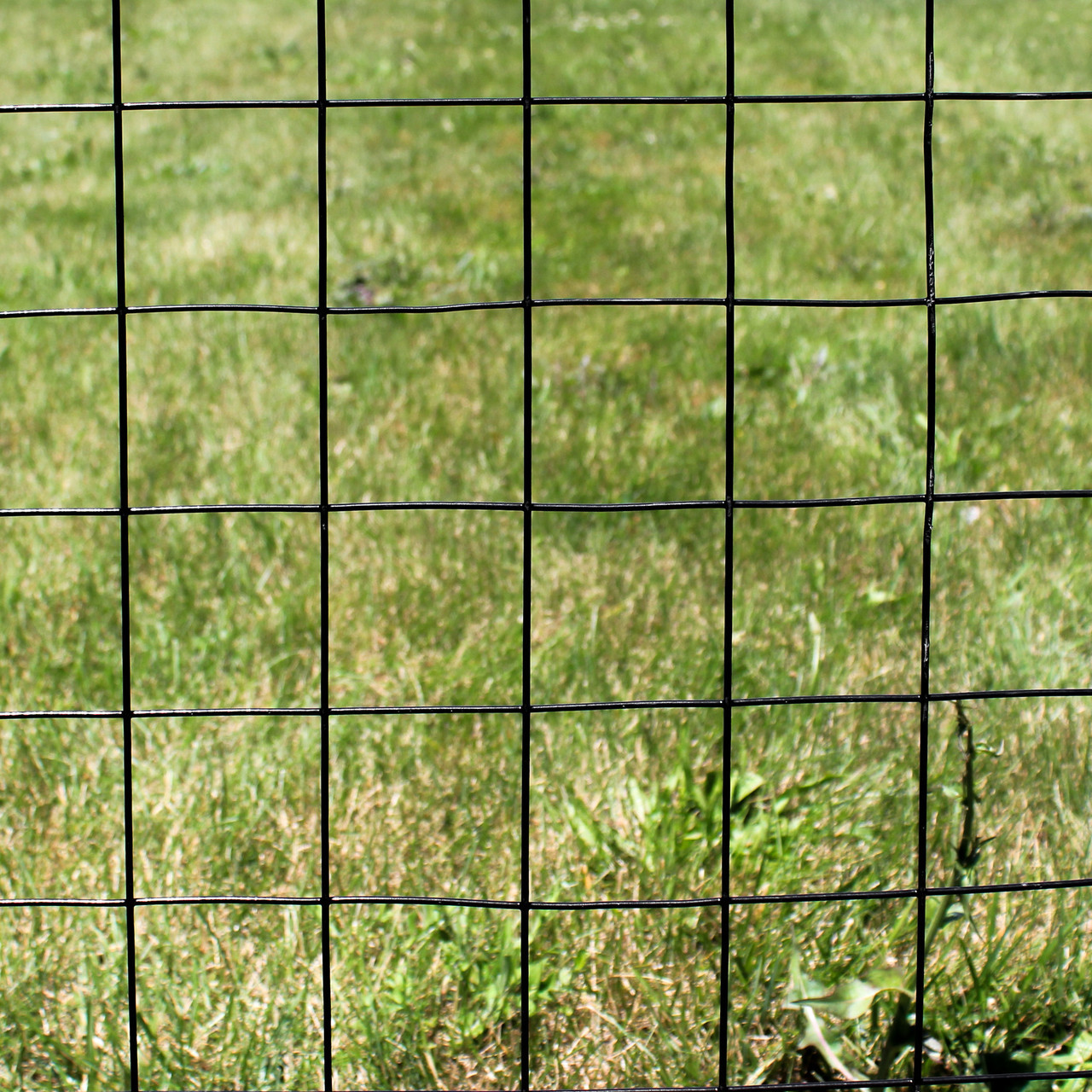5' High Welded Wire Dog Fence Kit 2" x 2" Mesh