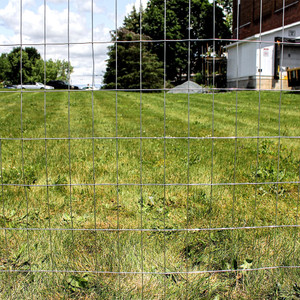 Hot dipped galvanized fence lifestyle Hot dipped galvanized fence lifestyle