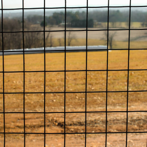 **CLEARANCE - DING & DENT** 8' x 100' Welded Wire Fence-14 ga. galvanized steel core; 12 ga after Black PVC-Coating, 2" x 2" Mesh
