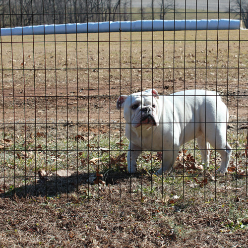 4' High Dog Fence Kits