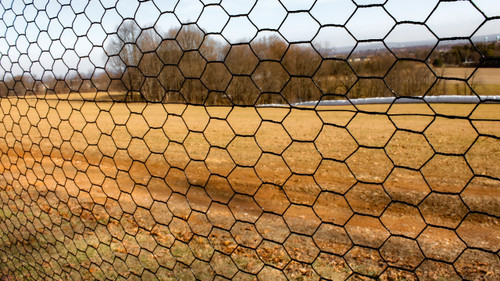 2' x 50' Steel Hex Web Blk PVC Coated Fence