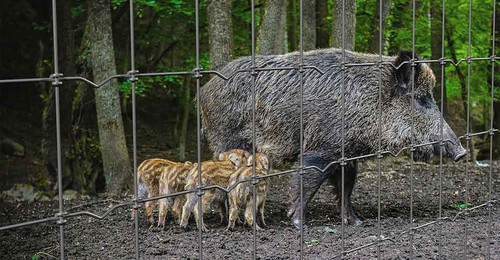 4' x 330' 12.5ga. Livestock Fence 13/48/4