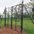 Dual Driveway Gate For 8' Deer Fence