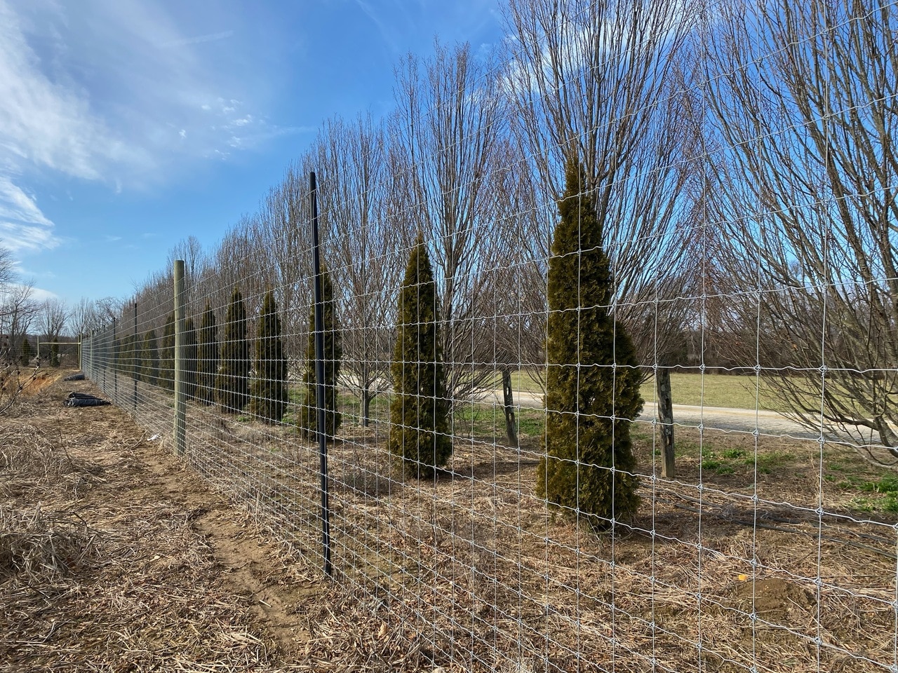 LB Fencing - Woven Wire Fencing