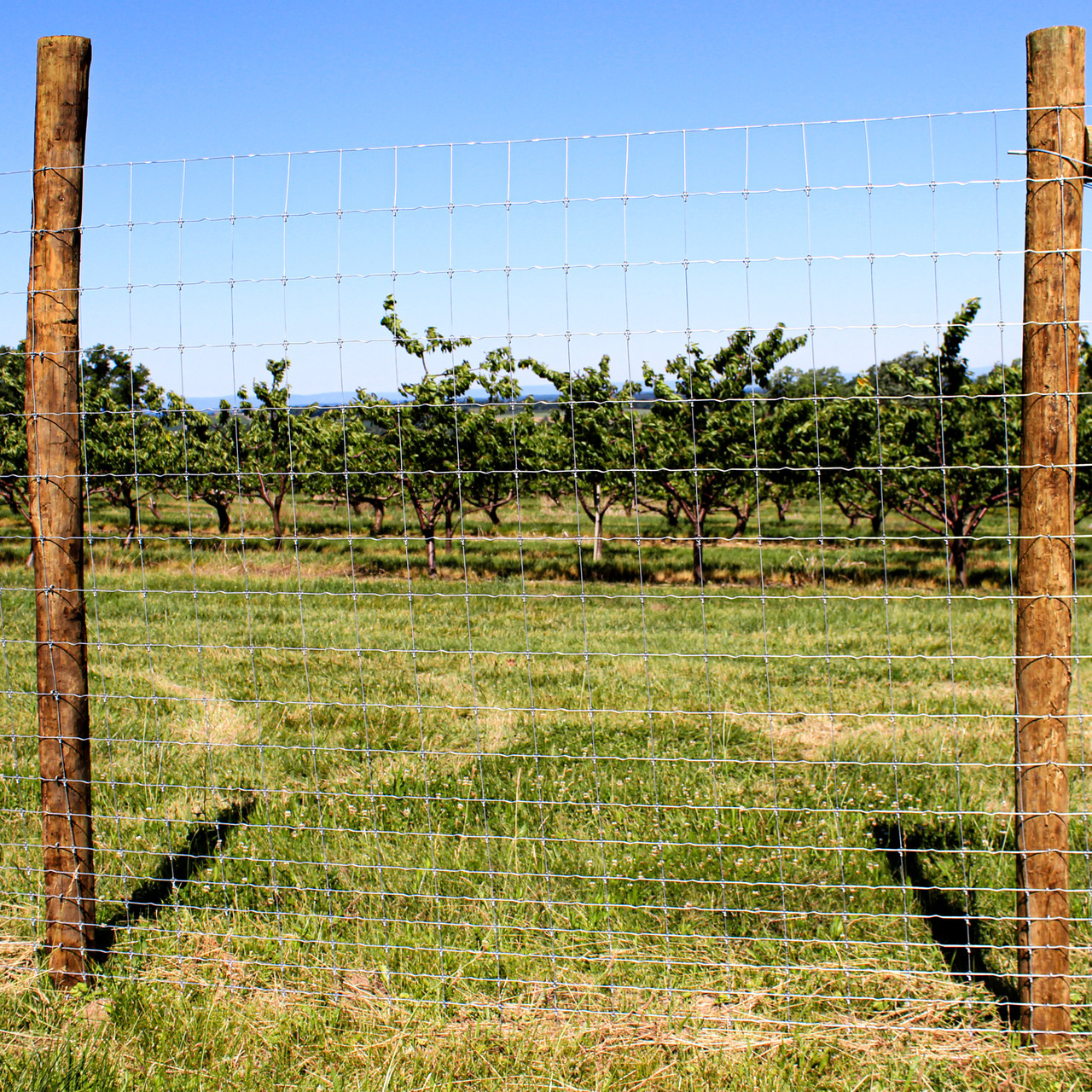 12.5 ga Solid Lock Fence 20/96/6