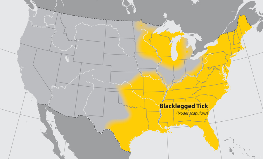 lgmap-blacklegged-tick.jpg