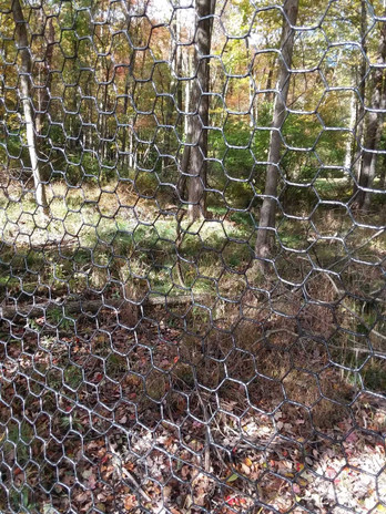 Deer & Poultry Fencing - American Nettings