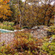 Steel hex and fall foliage