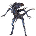 Sci-Fi Revoltech 018 - Alien Queen