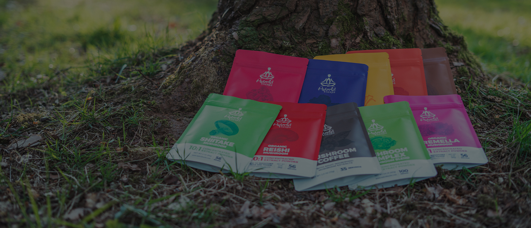 Hybrid Herbs Medicinal Mushrooms & Tonic Herbs