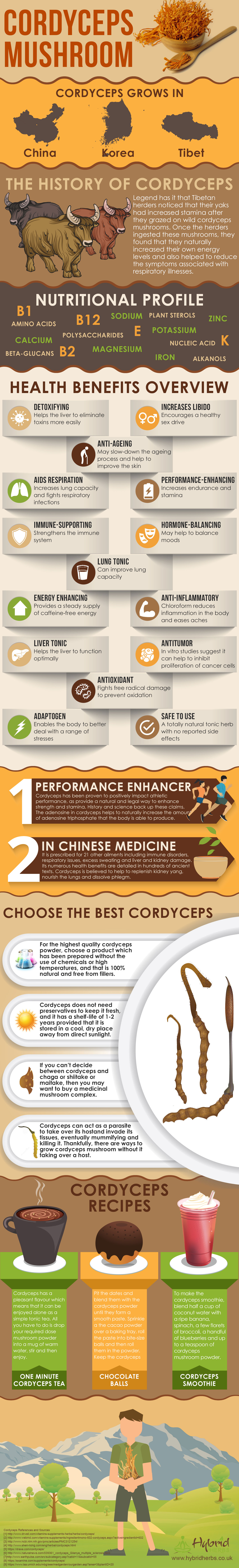 cordyceps sinensis benefits