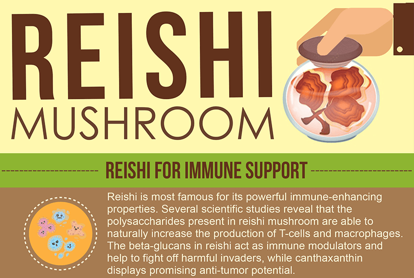 reishi mushroom benefits