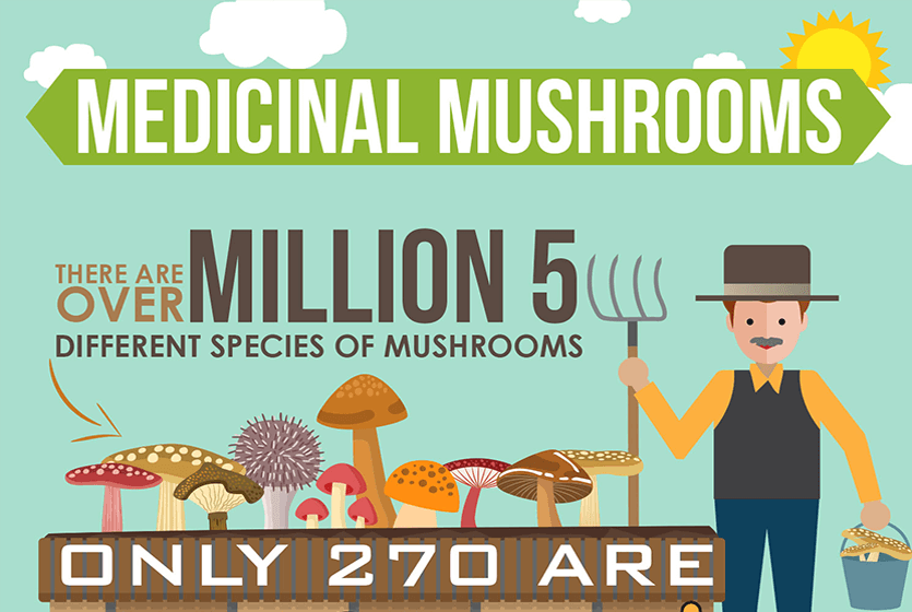 medicinal mushroom