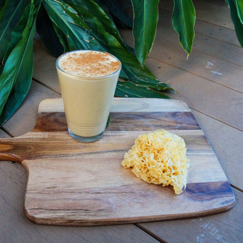 Tremella Mushroom Recipe Hybrid Herbs