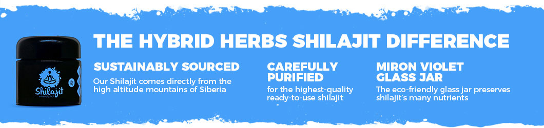 ways-to-use-shilajit.jpg