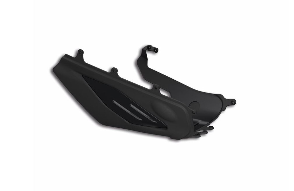 Painagle V4 Fairings for Racing Exhausts