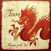 Picture of Tsuro game