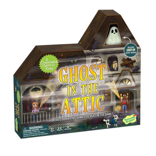 Picture of Ghost in the Attic
