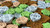Closeup of Honey Buzz: Wooden Coins components