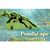 Picture of Pondscape - Wooden Frog Promo