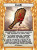 The Binding of Isaac: Four Souls - Edmund Booster Pack