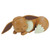Picture of Pokémon Model Kit Quick: Sleeping Eevee