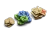 Picture of GRUNTZ: Deluxe Tokens