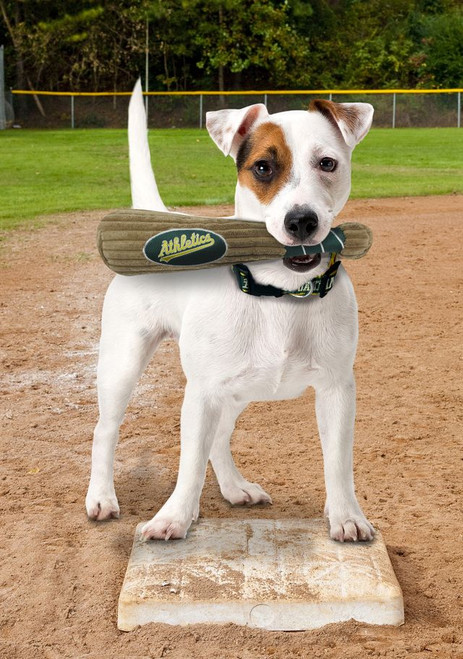 Oakland Athletics Dog Toy Bat With Squeaker