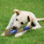 Los Angeles Dodgers Dog Toy Bat With Squeaker