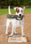 Oakland Athletics Dog Toy Bat With Squeaker