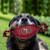 San Francisco 49ers Pet Toy With Ropes