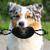 Las Vegas Raiders Pet Toy With Ropes