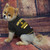 San Diego Padres Pet Tee Shirt