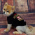 San Francisco 49ers Pet Tee Shirt