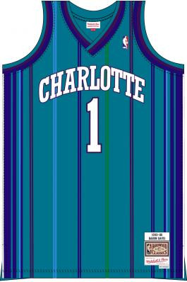 baron davis charlotte hornets jersey