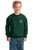 Middle School - Youth Crewneck Sweatshirt Green