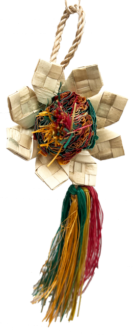 Sunflower Natural front