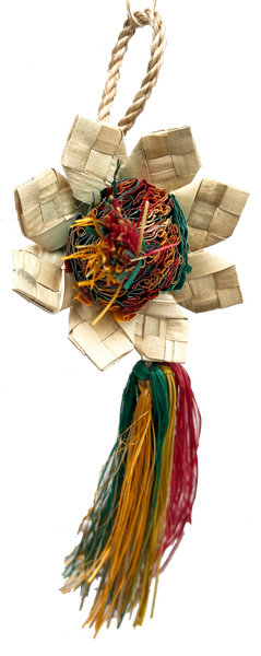 Sunflower Natural front